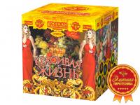 Красивая жизнь Фейерверк купить в Петушках | petushki.salutsklad.ru