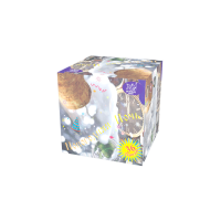 Новогодняя ночь Салют купить в Петушках | petushki.salutsklad.ru