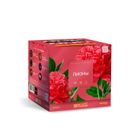 Пионы Салют купить в Петушках | petushki.salutsklad.ru