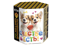 Счастье есть! Салют купить в Петушках | petushki.salutsklad.ru