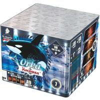 Косатка Фейерверк купить в Петушках | petushki.salutsklad.ru