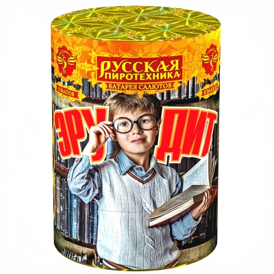 Эрудит Салют купить в Петушках | petushki.salutsklad.ru