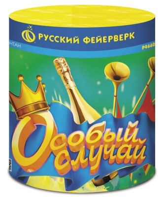 Особый случай Пиротехнический фонтан купить в Петушках | petushki.salutsklad.ru