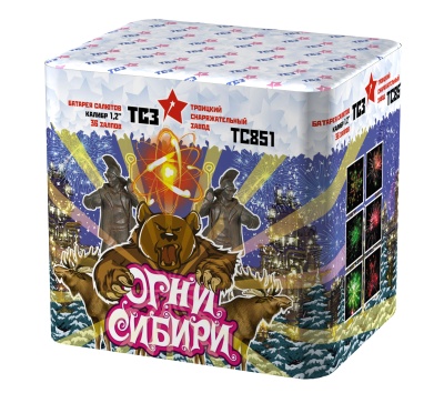 Огни Сибири Салют купить в Петушках | petushki.salutsklad.ru