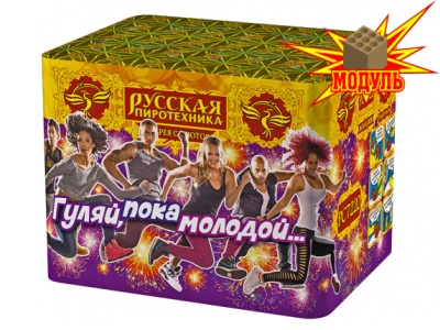 Гуляй, пока молодой... Фейерверк купить в Петушках | petushki.salutsklad.ru