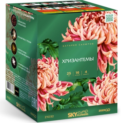Хризантемы Фейерверк купить в Петушках | petushki.salutsklad.ru