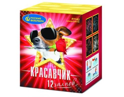 Красавчик Салют купить в Петушках | petushki.salutsklad.ru